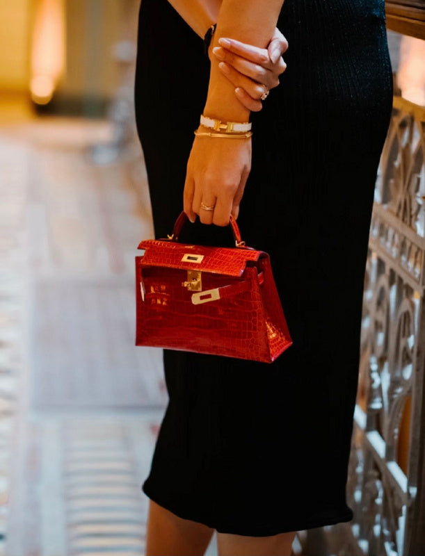 new-designer-premium-bags-nm23966