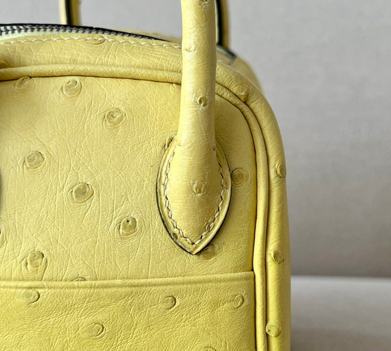 new-luxury-designer-bags-nm23885