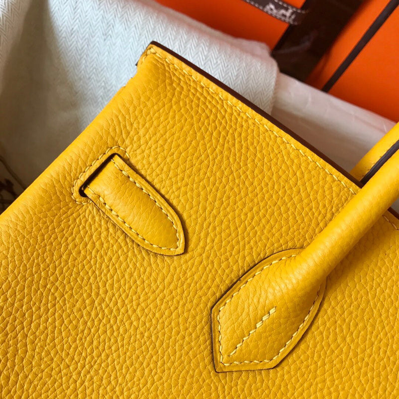 new-luxury-designer-bags-nm23761