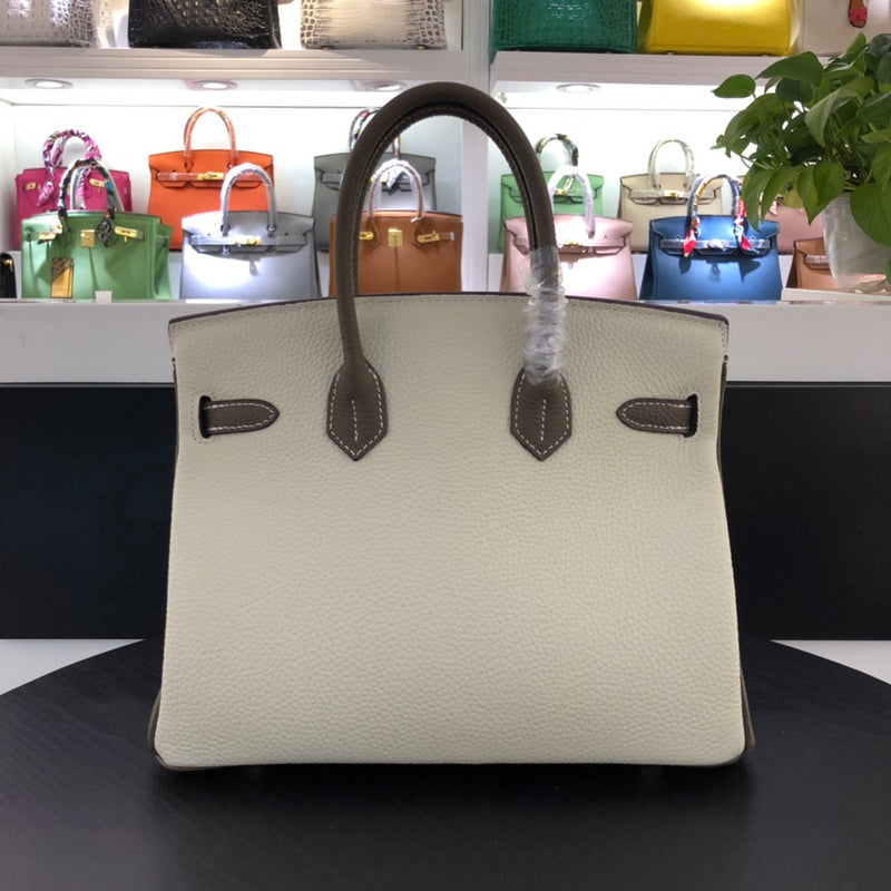 new-luxury-designer-bags-nm23526
