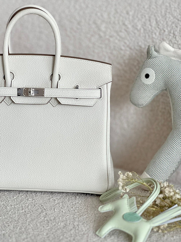 new-luxury-designer-bags-nm23781