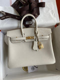 new-luxury-designer-bags-nm22981