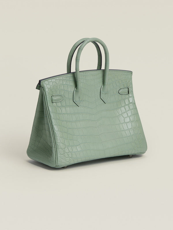 new-luxury-designer-bags-nm23854