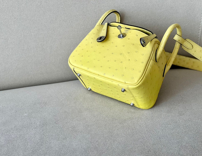new-luxury-designer-bags-nm23885