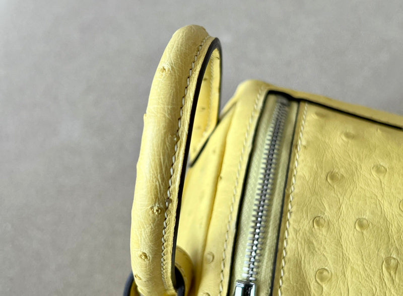 new-luxury-designer-bags-nm23885