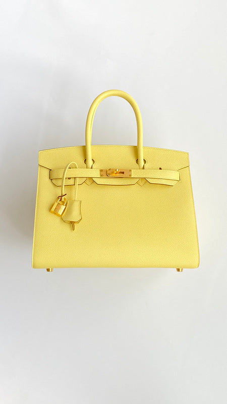 new-designer-premium-bags-nm23814