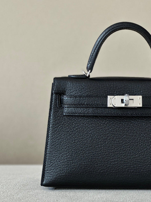 new-luxury-designer-bags-nm23412