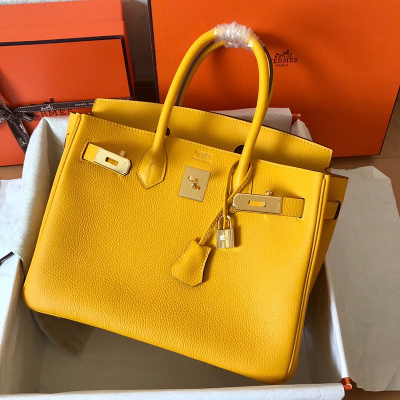 new-luxury-designer-bags-nm23761