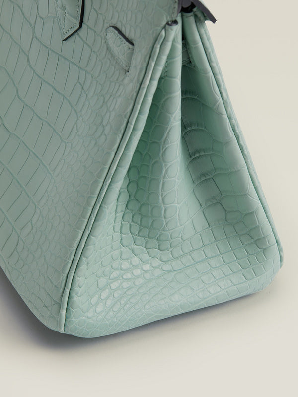 new-luxury-designer-bags-nm23855