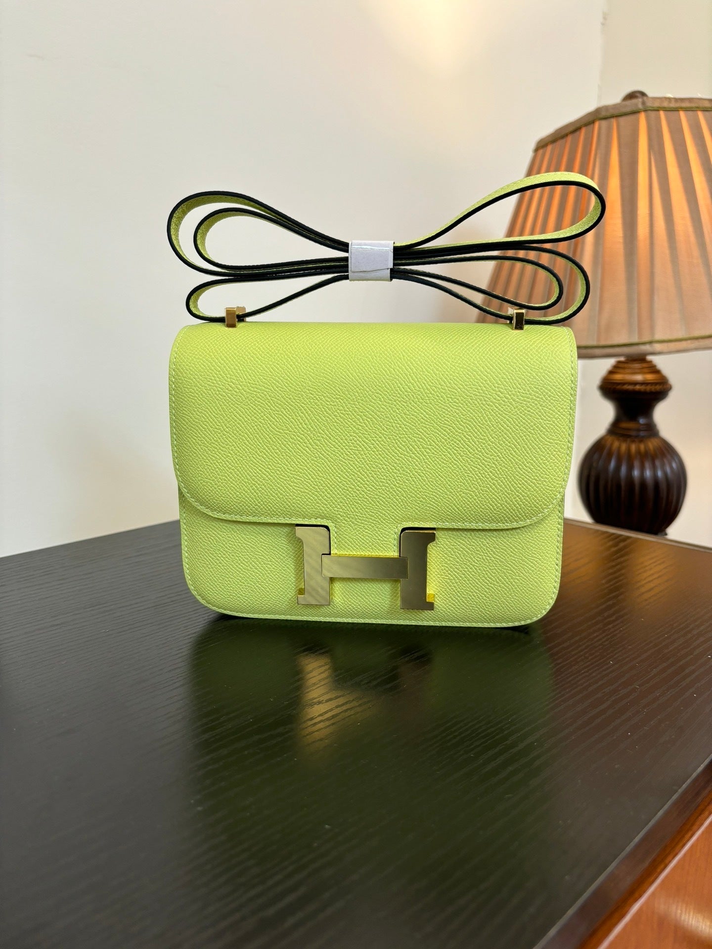 new-luxury-designer-bags-nm22932