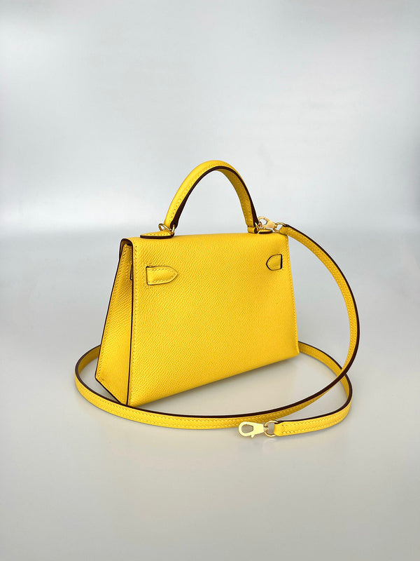 new-elite-designer-bags-nm23873