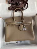 new-luxury-designer-bags-nm22980