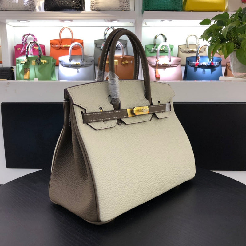 new-luxury-designer-bags-nm23526