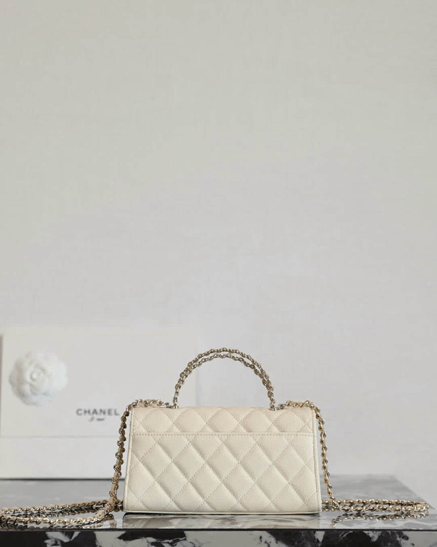 Anum Bags - DESIGNER BAGS FOR WOMEN - AFFORDABLE LUXURY BAGS - 17907