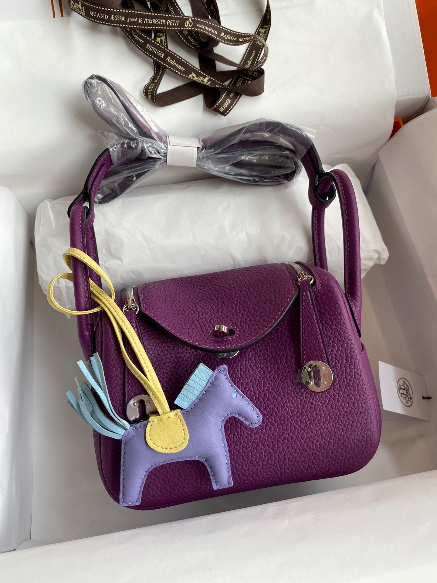new-luxury-designer-bags-nm23034