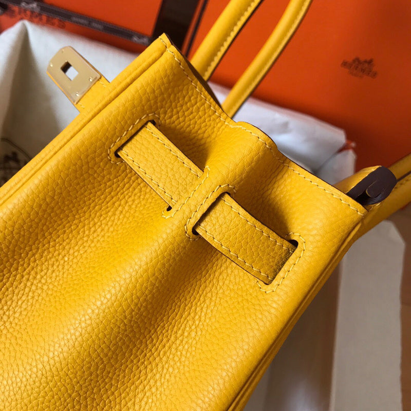 new-luxury-designer-bags-nm23761