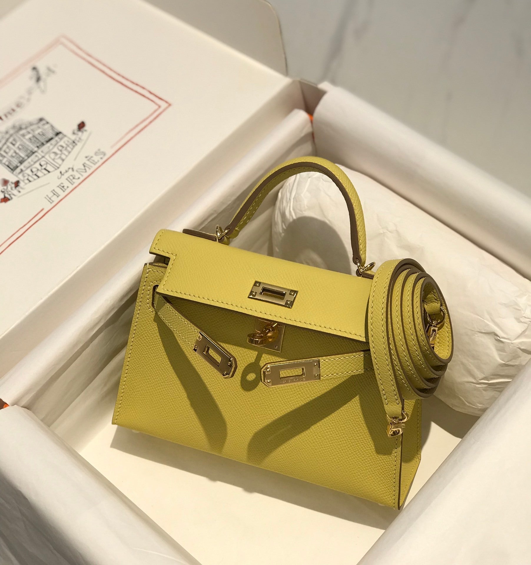 new-luxury-designer-bags-nm23093