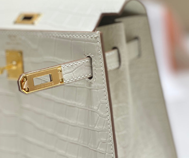 new-luxury-designer-bags-nm23533