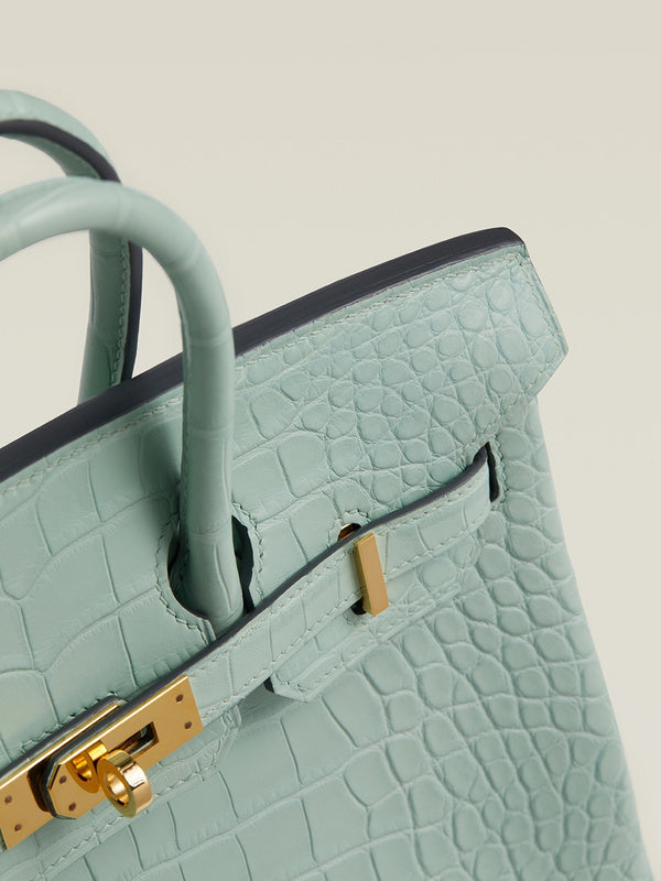 new-luxury-designer-bags-nm23855