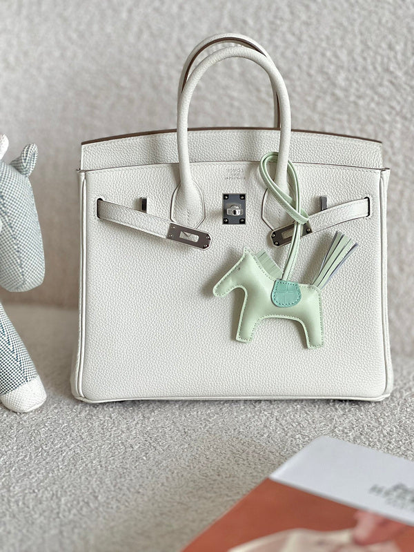new-luxury-designer-bags-nm23781
