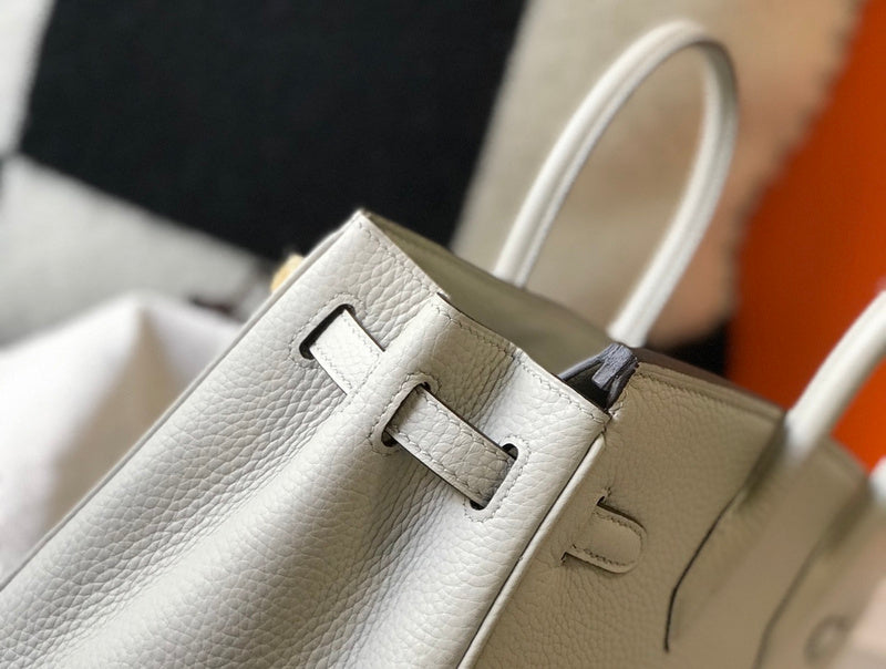 new-luxury-designer-bags-nm23496