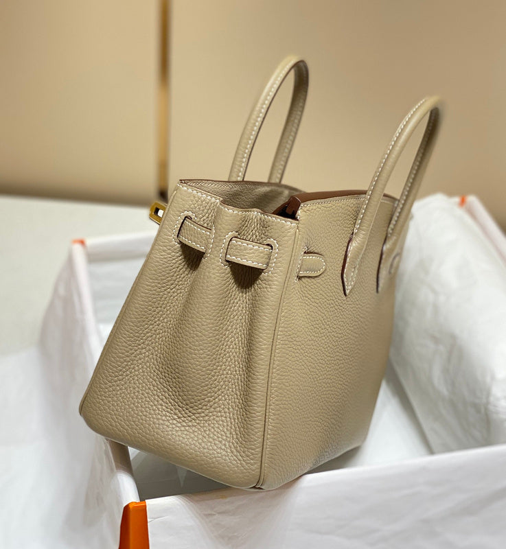 new-luxury-designer-bags-nm23451