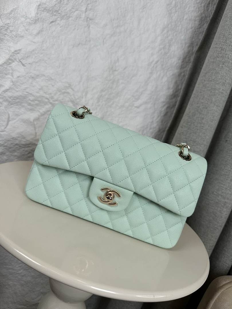 Anum Bags - DESIGNER BAGS FOR WOMEN - AFFORDABLE LUXURY BAGS - 17739