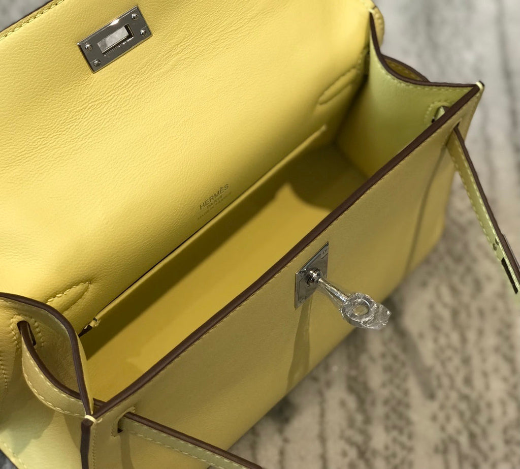 new-luxury-designer-bags-nm23125