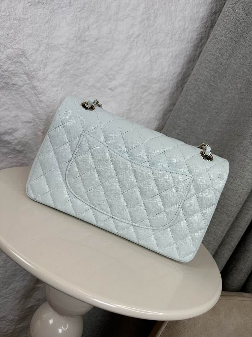 Anum Bags - Premium Luxury Goods and Accessories - AFFORDABLE LUXURY BAGS - 17757