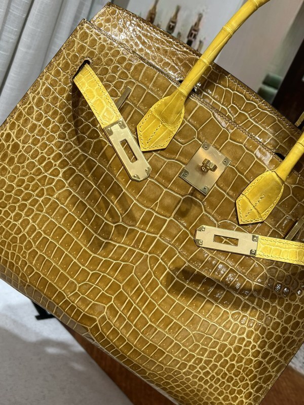 Anum Bags - DESIGNER BAGS FOR WOMEN - AFFORDABLE LUXURY BAGS - 20515
