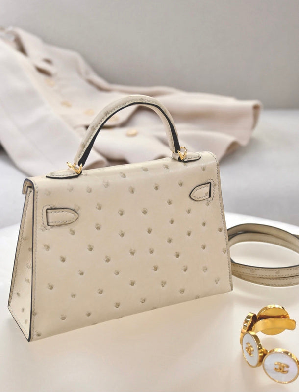 new-designer-premium-bags-nm23964