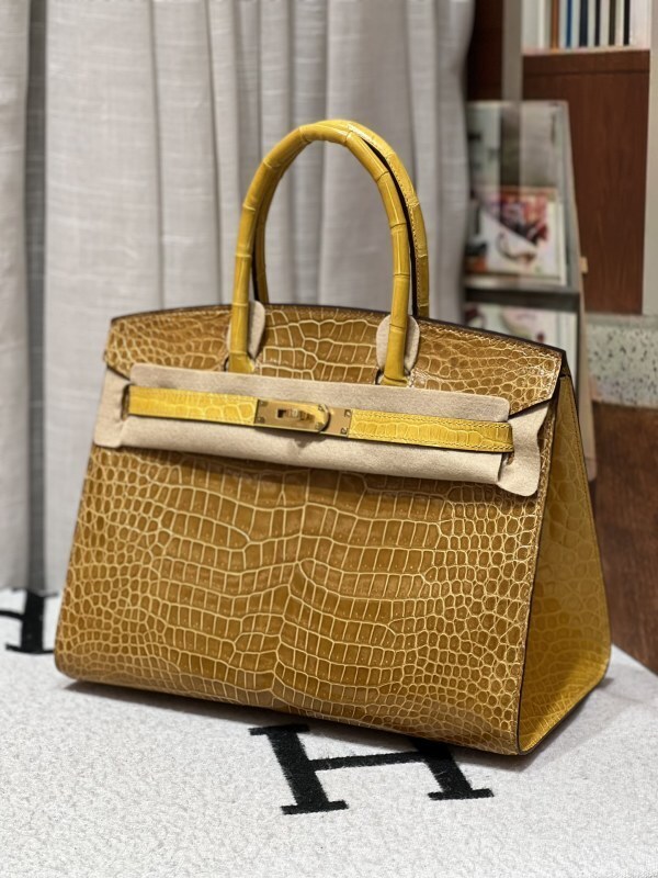 Anum Bags - DESIGNER BAGS FOR WOMEN - AFFORDABLE LUXURY BAGS - 20515