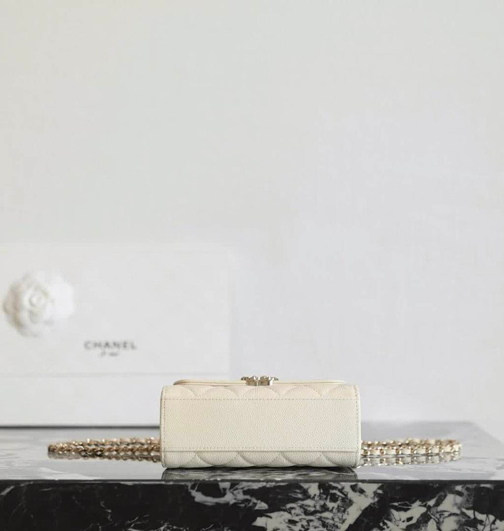 Anum Bags - DESIGNER BAGS FOR WOMEN - AFFORDABLE LUXURY BAGS - 17903
