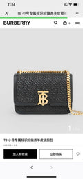 Ezyycart Bags - Premium Luxury Goods and Accessories - AFFORDABLE LUXURY BAGS - 17261