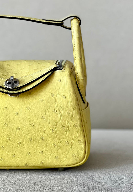 new-luxury-designer-bags-nm23885