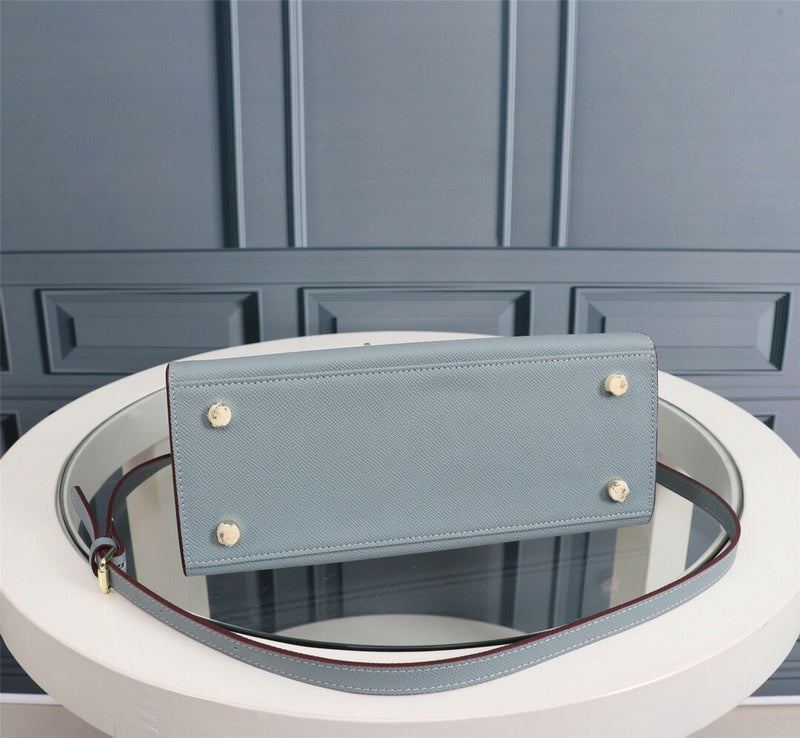 new-luxury-designer-bags-nm23504