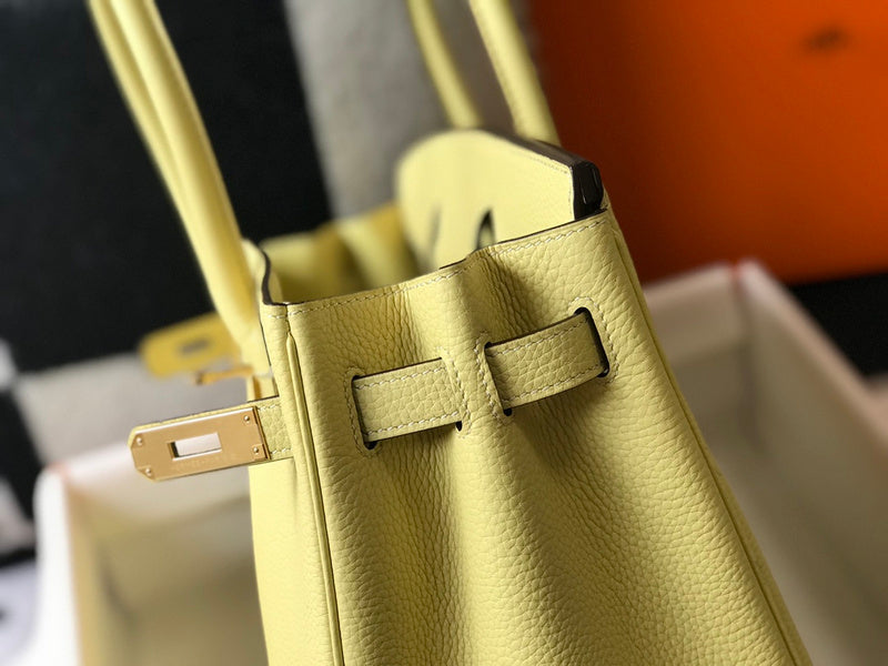 new-elite-designer-bags-nm23478
