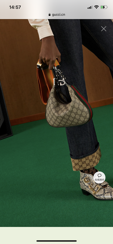 Ezyycart Bags - DESIGNER BAGS FOR WOMEN - AFFORDABLE LUXURY BAGS - 20359
