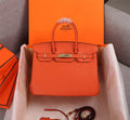 new-designer-premium-bags-nm23608