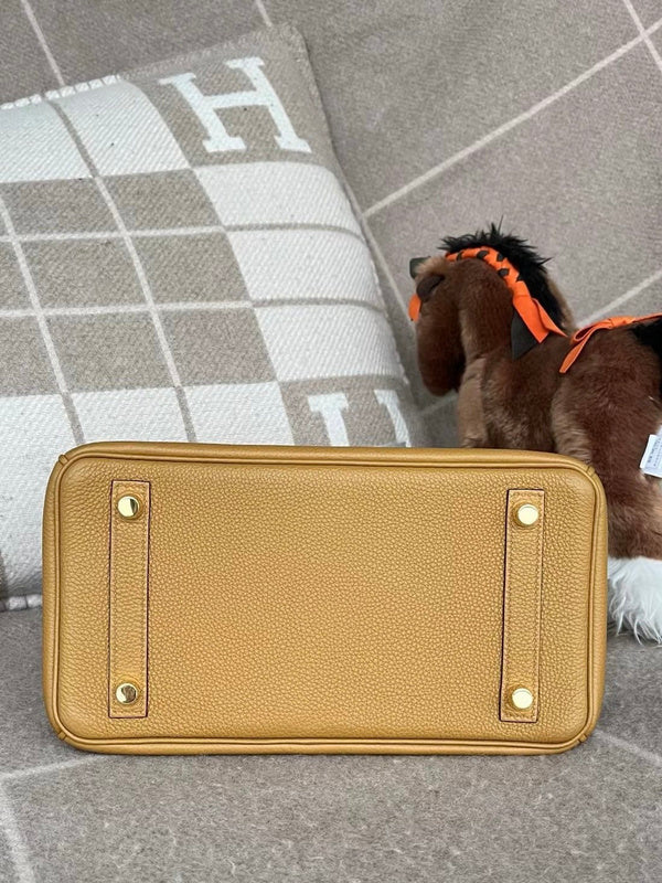 new-luxury-designer-bags-nm23770