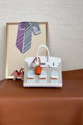 new-elite-designer-bags-nm23833