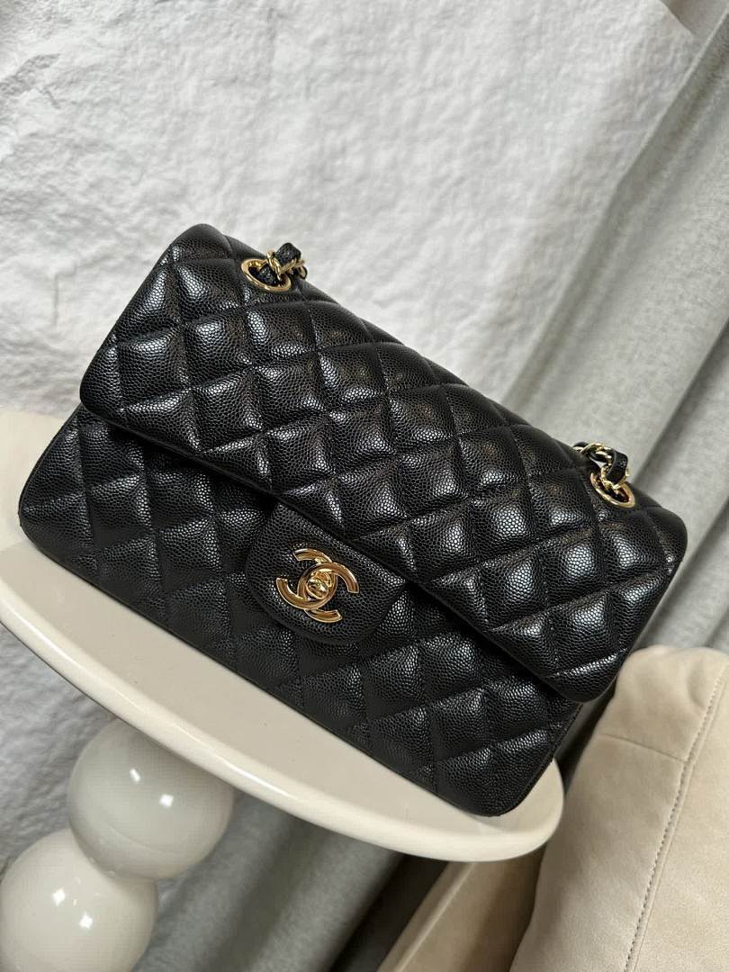 Anum Bags - DESIGNER BAGS FOR WOMEN - AFFORDABLE LUXURY BAGS - 17747