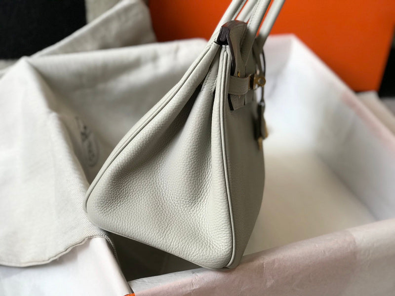 new-luxury-designer-bags-nm23496