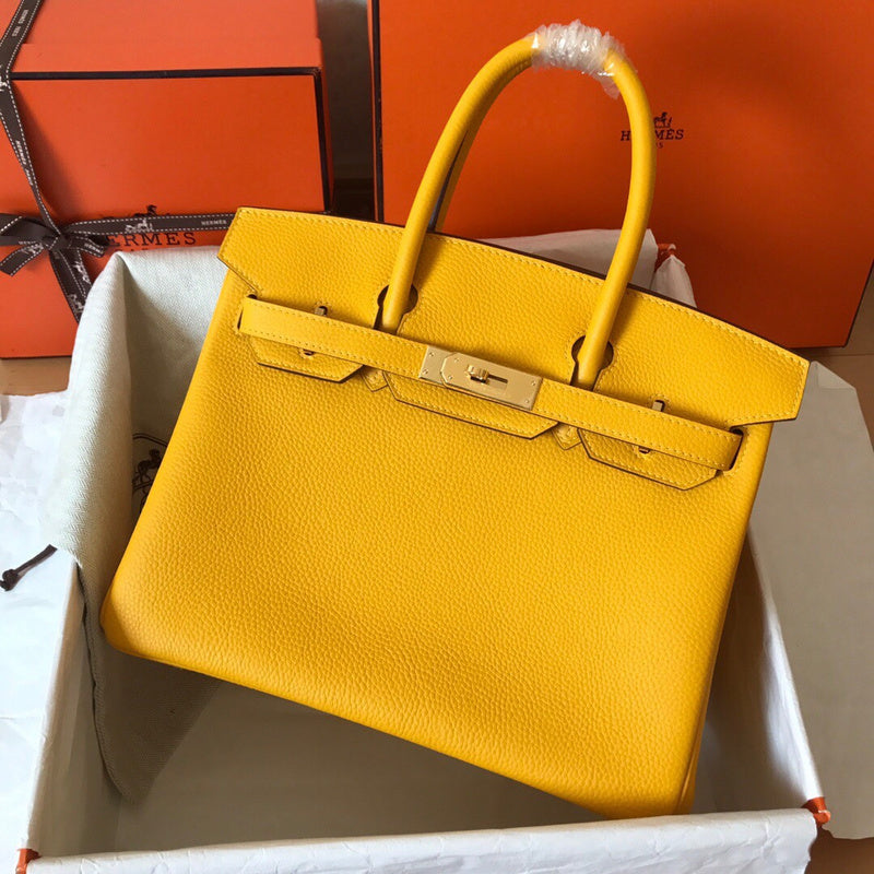 new-luxury-designer-bags-nm23761