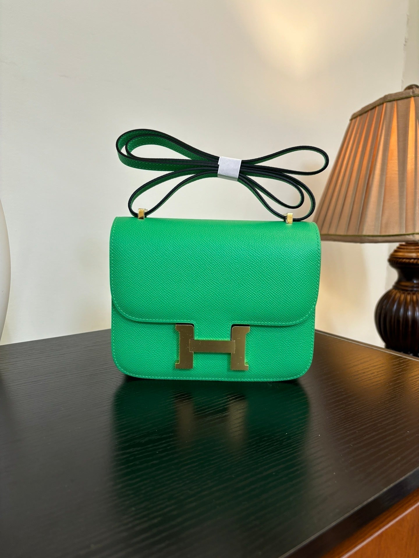 new-luxury-designer-bags-nm22918