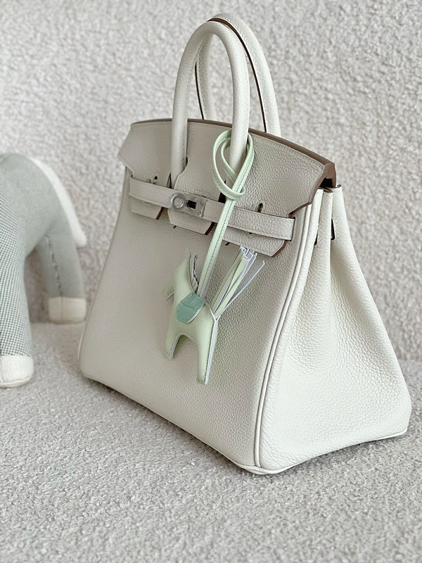new-luxury-designer-bags-nm23781