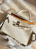 new-elite-designer-bags-nm23865