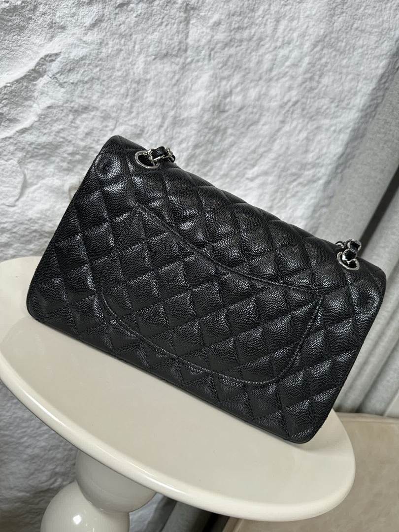 Anum Bags - DESIGNER BAGS FOR WOMEN - AFFORDABLE LUXURY BAGS - 17763