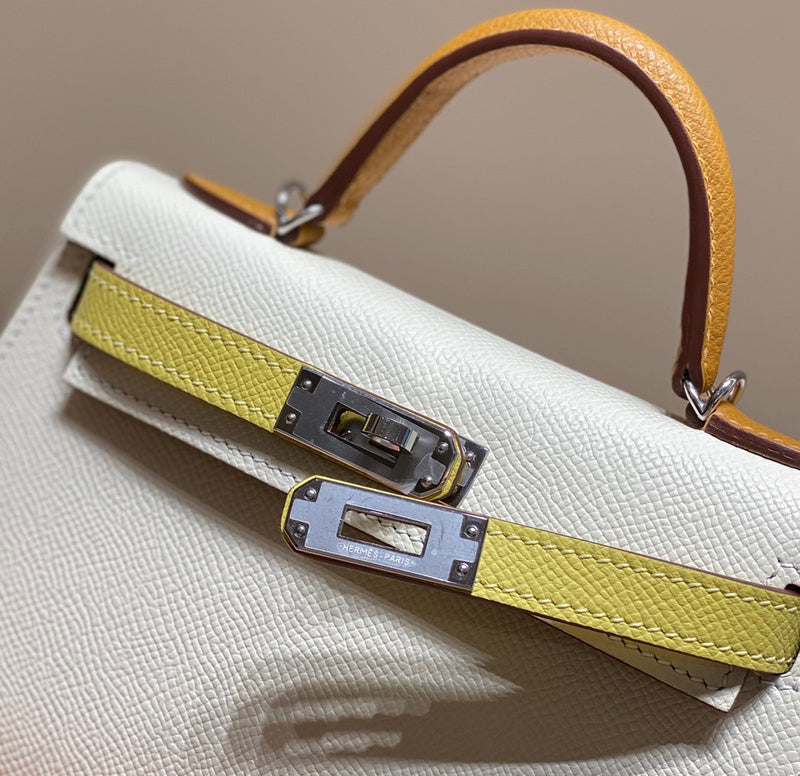 new-luxury-designer-bags-nm23454