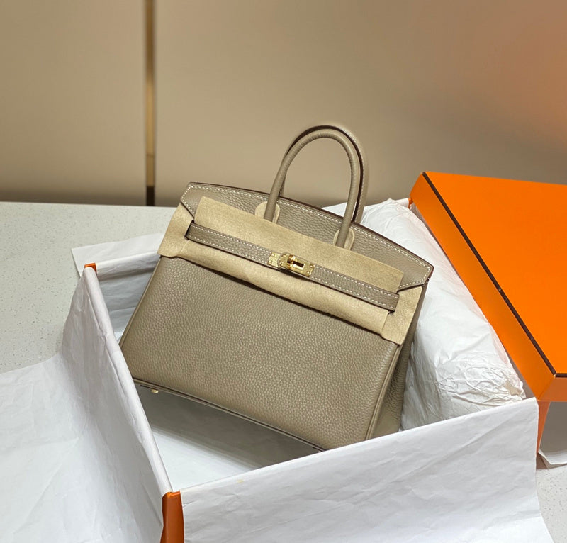 new-luxury-designer-bags-nm23451